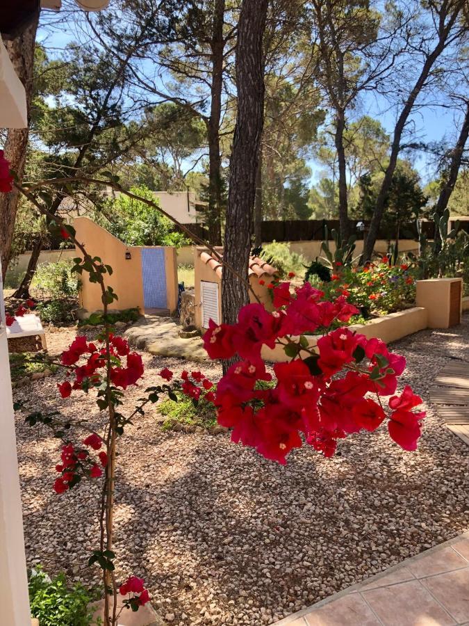 Apartamento Sa Ginebra, Cala Saona Exterior photo